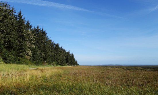 Leadbetter Point State Park