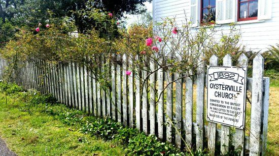 Oysterville Church